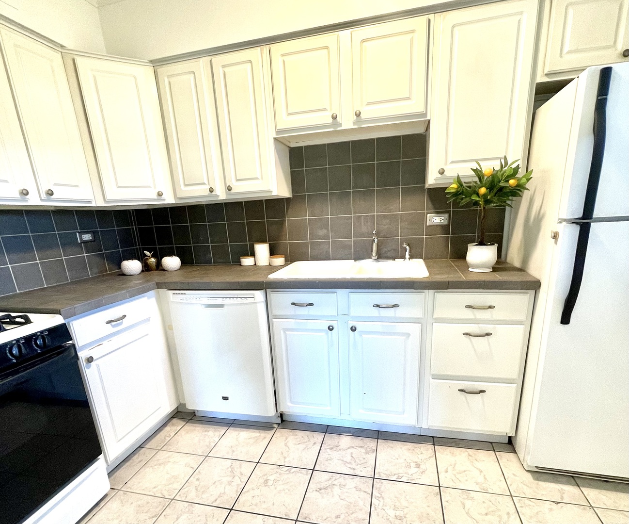 2610 Oakton Street, Unit 9W Park Ridge, IL 60068 - Photo 6 of 14 a kitchen with stainless steel appliances a sink and cabinets
