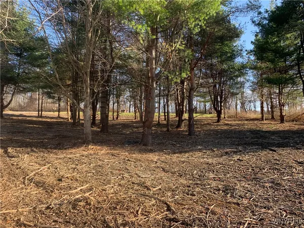 $20,000 | 9164 Gowanda State Road, Eden, NY 14057