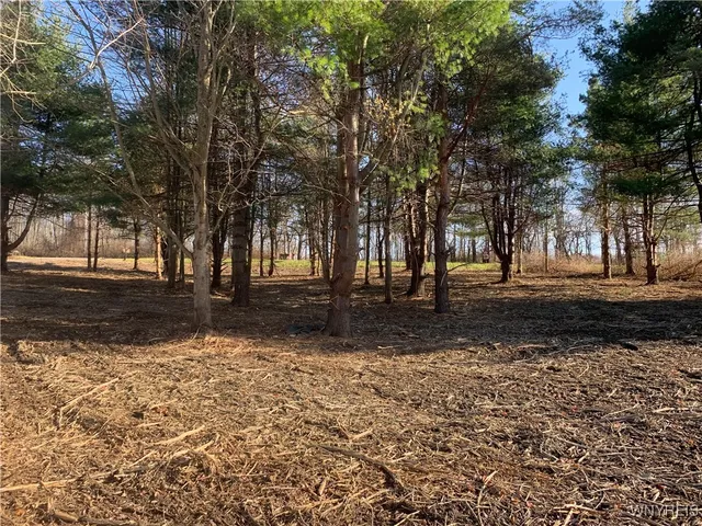 $32,500 | 9164 Gowanda State Road, Eden, NY 14057