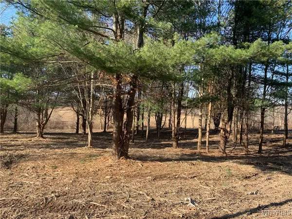 $20,000 | 9164 Gowanda State Road, Eden, NY 14057