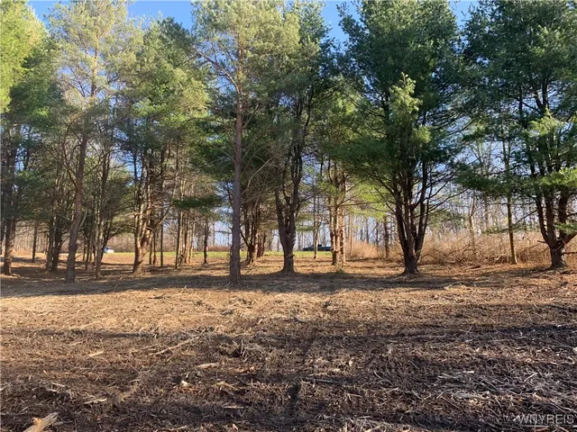 $32,500 | 9164 Gowanda State Road, Eden, NY 14057