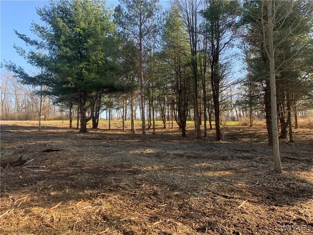 $32,500 | 9164 Gowanda State Road, Eden, NY 14057