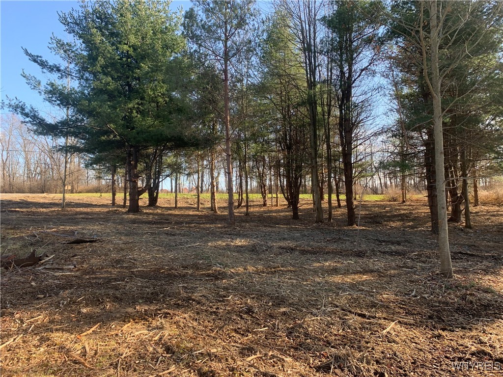 9164 Gowanda State Road Eden, NY 14057 - Photo 5 of 10