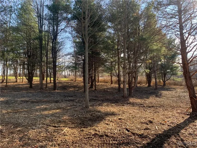 $32,500 | 9164 Gowanda State Road, Eden, NY 14057