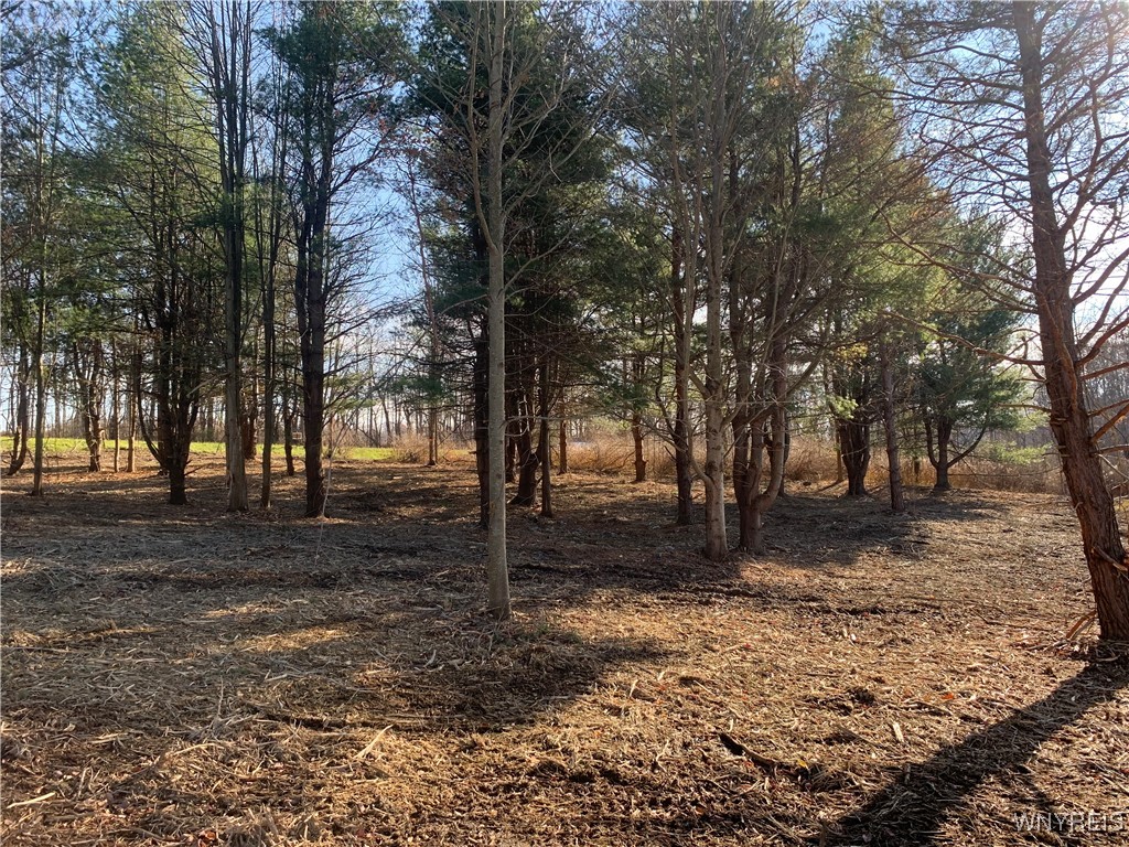 9164 Gowanda State Road Eden, NY 14057 - Photo 6 of 10