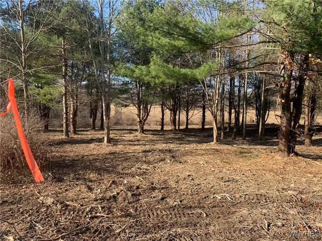 $32,500 | 9164 Gowanda State Road, Eden, NY 14057