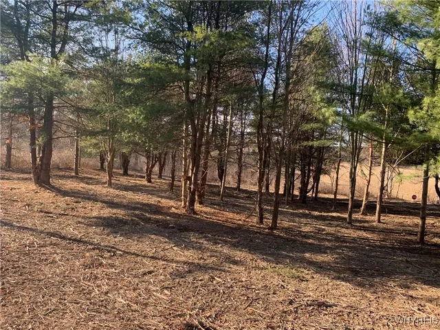 $32,500 | 9164 Gowanda State Road, Eden, NY 14057