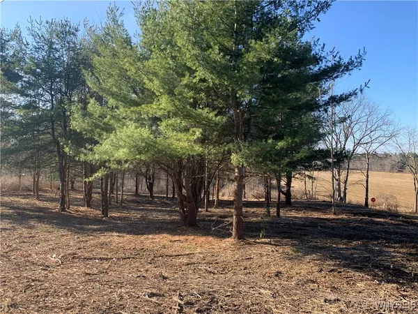 $20,000 | 9164 Gowanda State Road, Eden, NY 14057