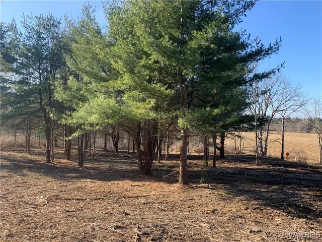 $32,500 | 9164 Gowanda State Road, Eden, NY 14057