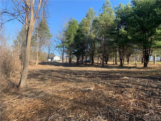 $32,500 | 9164 Gowanda State Road, Eden, NY 14057