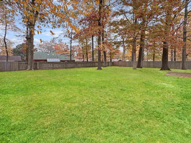 a view of yard with trees