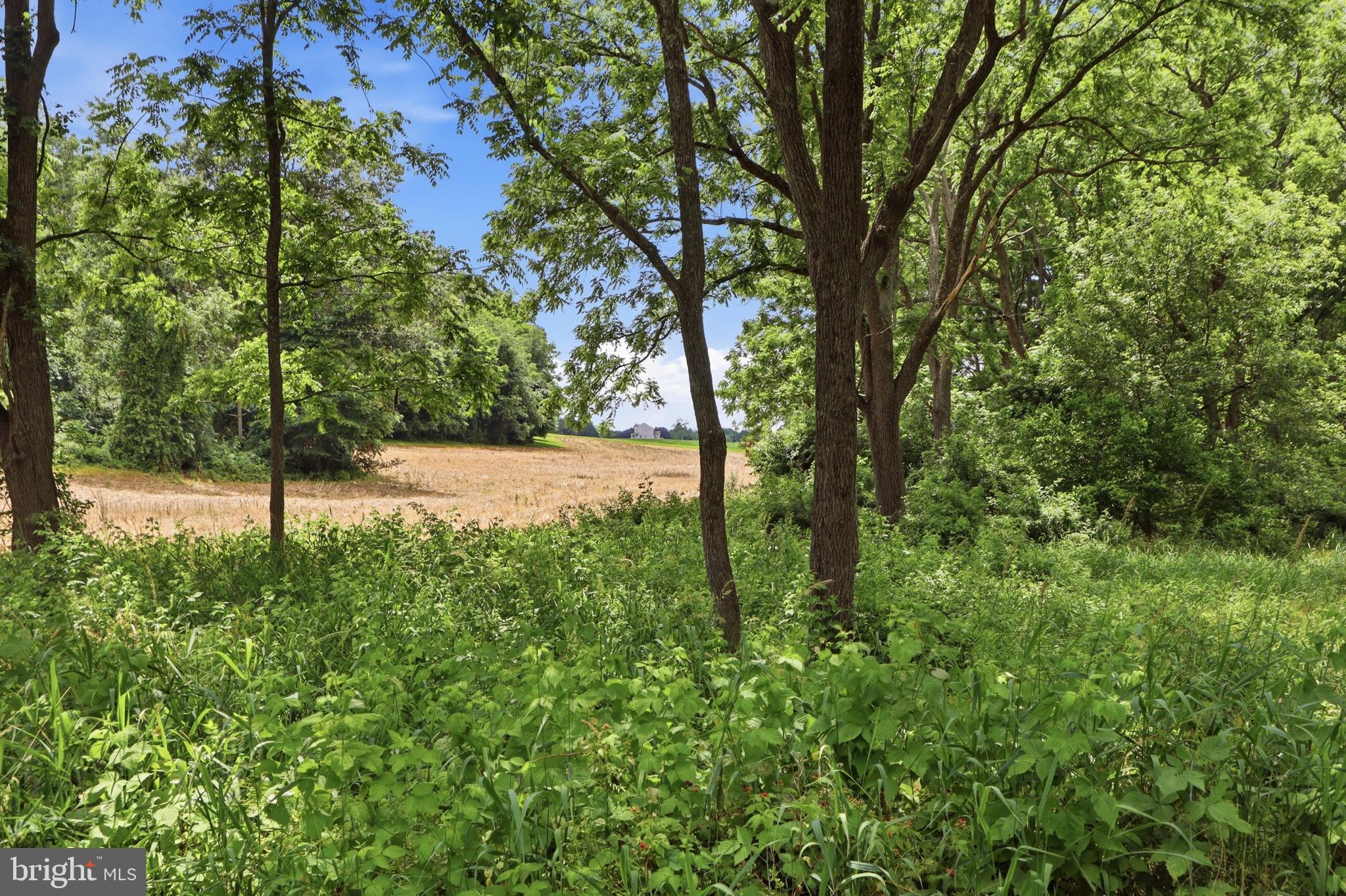 5408 Broadway Road White Hall, MD 21161 - Photo 3 of 40