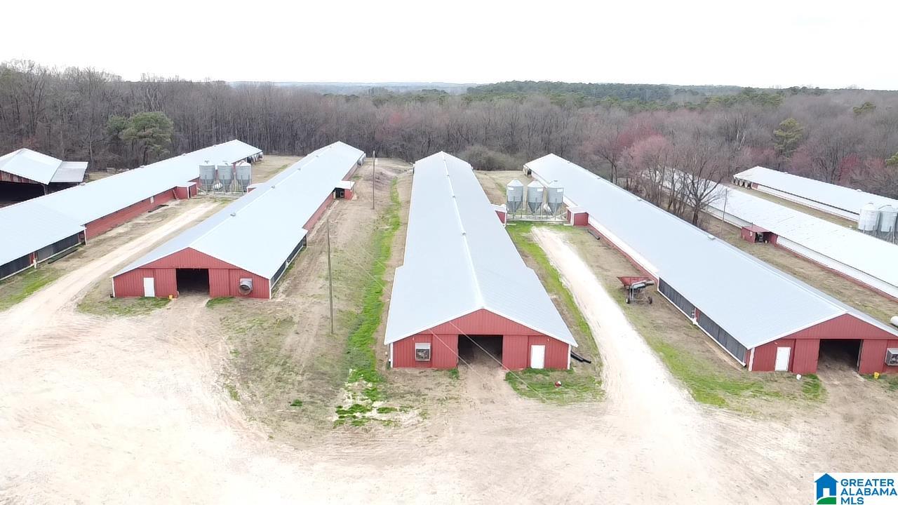 10171 County Road 87 Roanoke, AL 36274 - Photo 39 of 42