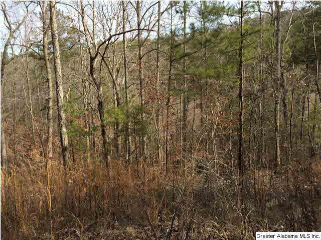734 Valley Grove Road, Unit 15 4 ACR Remlap, AL 35133 - Photo 19 of 32