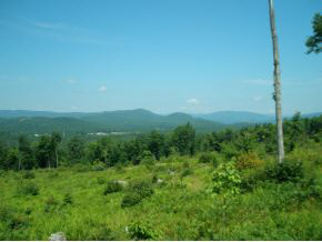 0 Mathews Road Alexandria, NH 03222 - Photo 11 of 24