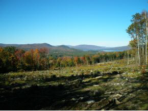 0 Mathews Road Alexandria, NH 03222 - Photo 16 of 24