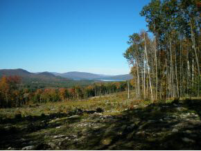 0 Mathews Road Alexandria, NH 03222 - Photo 22 of 24