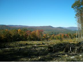 0 Mathews Road Alexandria, NH 03222 - Photo 23 of 24
