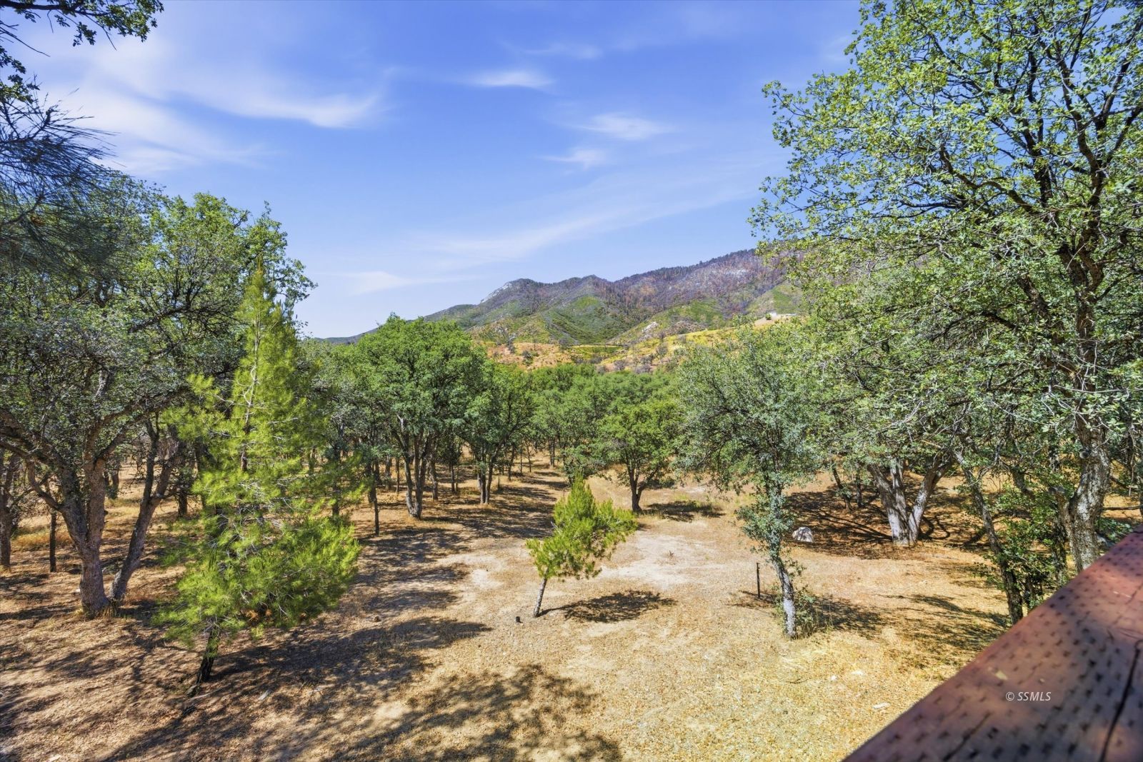 1124 Piute Meadows Road Caliente, CA 93518 - Photo 13 of 44