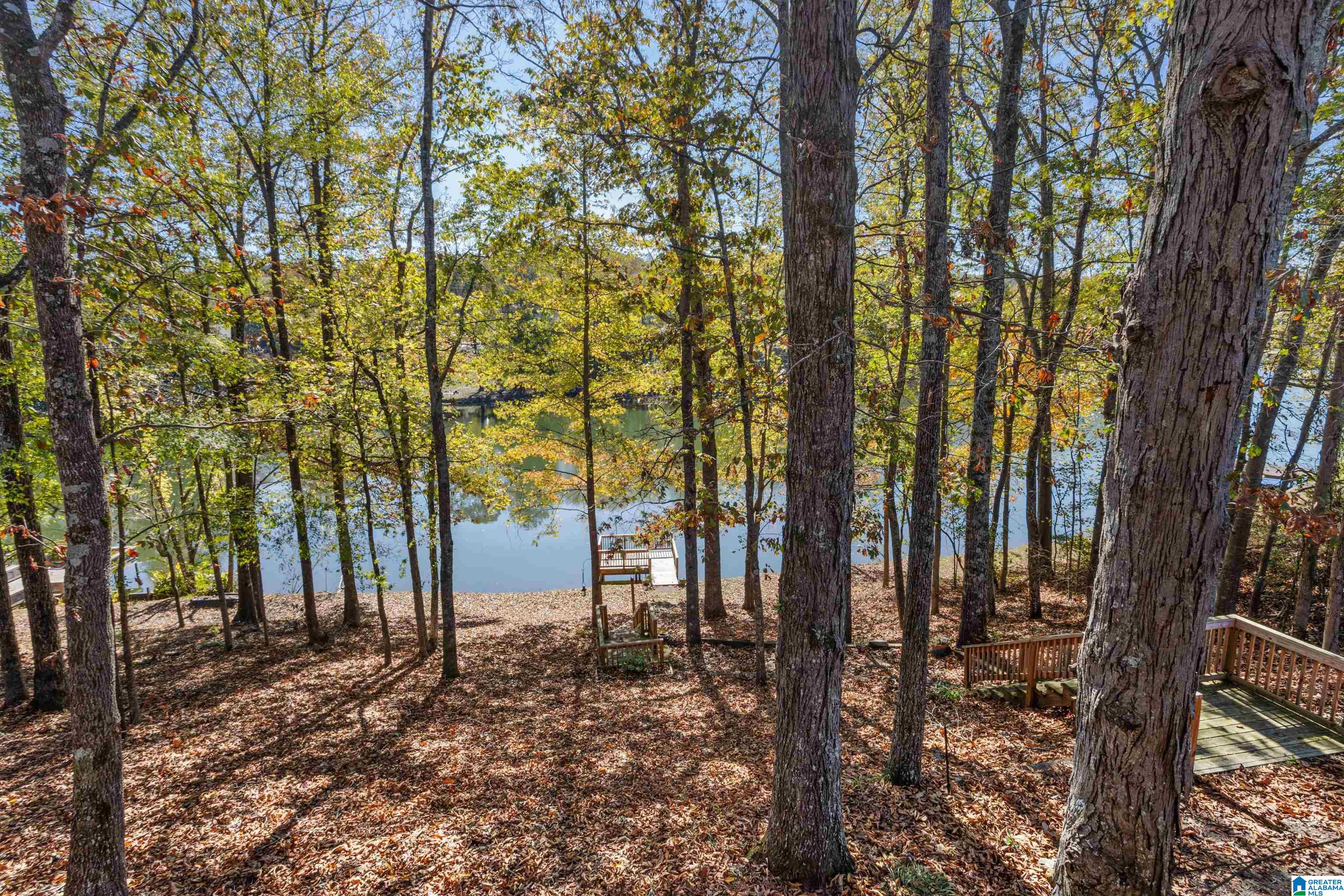 583 Rena Drive Springville, AL 35146 - Photo 47 of 67