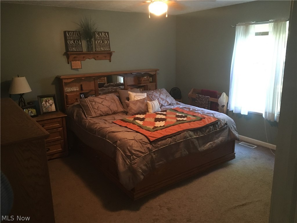 9001 Spieth Road Litchfield, OH 44253 - Photo 17 of 34 Gallery Image 17