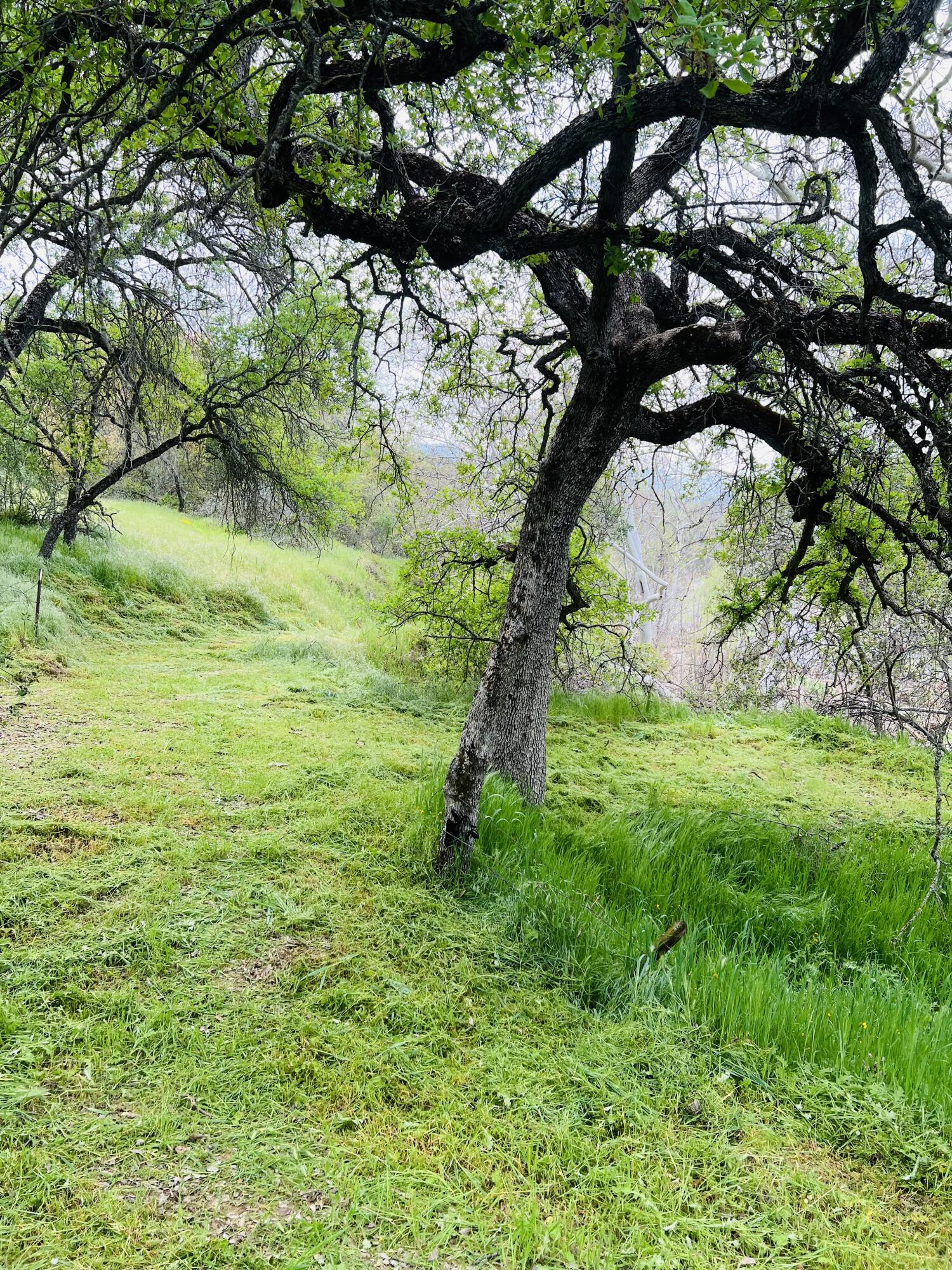 0 North Kaweah River Drive Three Rivers, CA 93271 - Photo 51 of 78 E0AF2E14-B87E-4F82-AA76-60F776666D18_1_2