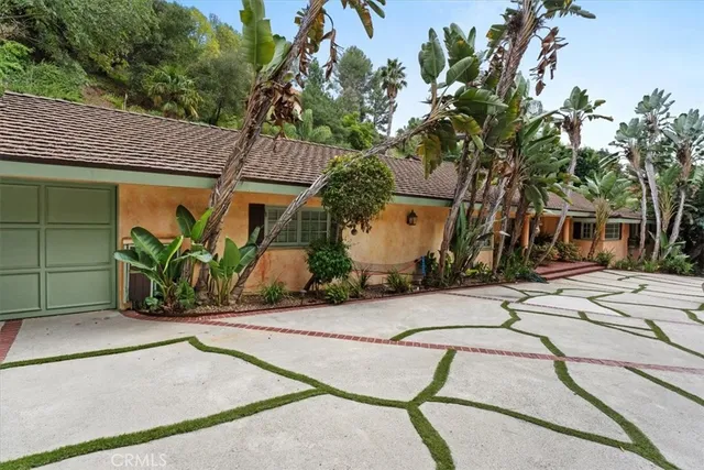 a view of a house with potted plants and a large tree