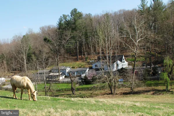 $850,000 | 20 Victory Lane, Castleton, VA 22716