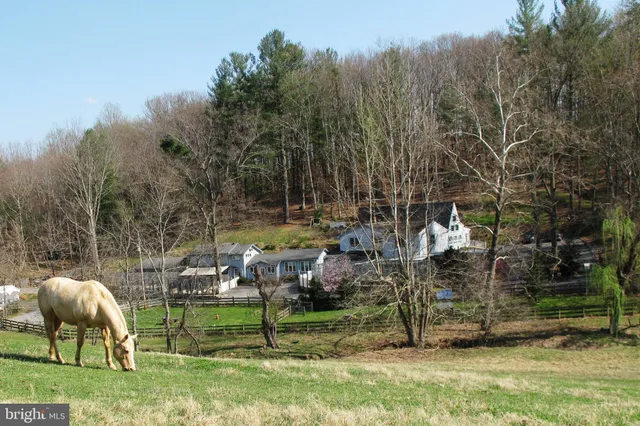 $850,000 | 20 Victory Lane, Castleton, VA 22716