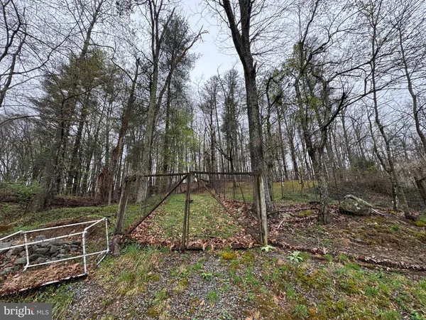 $850,000 | 20 Victory Lane, Castleton, VA 22716