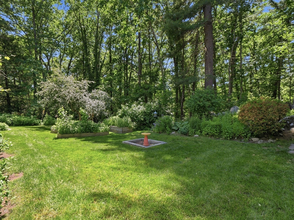 77 Old Stage Road Chelmsford, MA 01824 - Photo 29 of 40