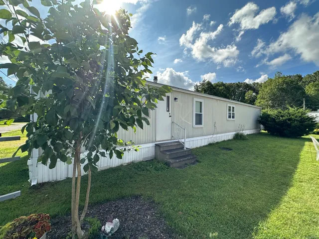 a view of a backyard with large trees