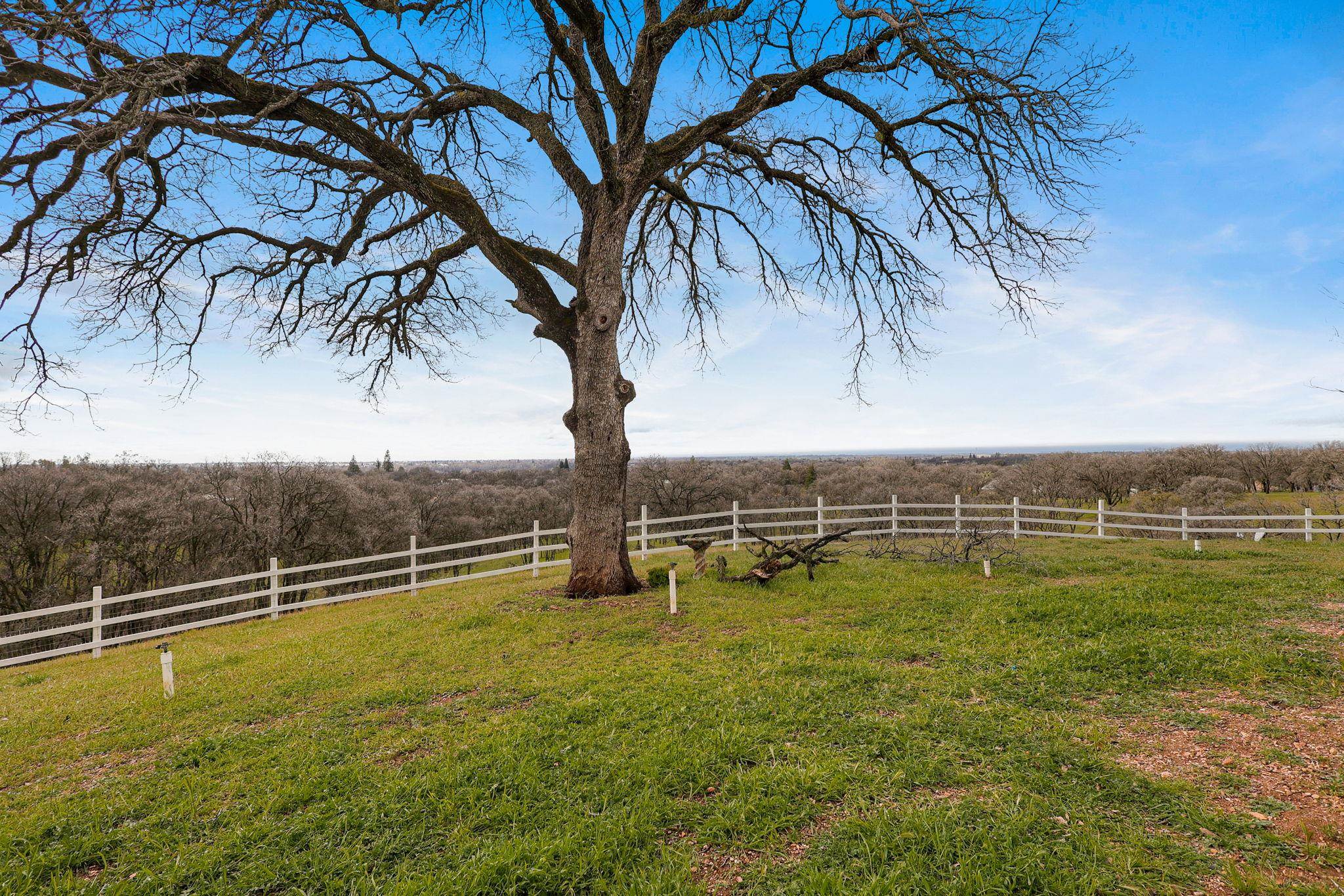 21755 Wilcox Road Red Bluff, CA 96080 - Photo 47 of 49