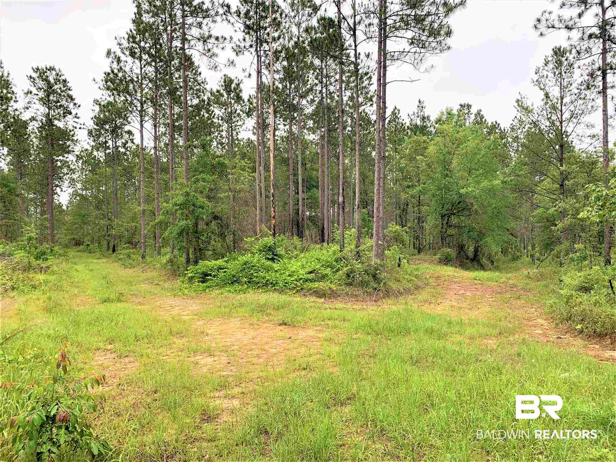 0 Dyas Road Perdido, AL 36562 - Photo 1 of 7 Gallery Image 1