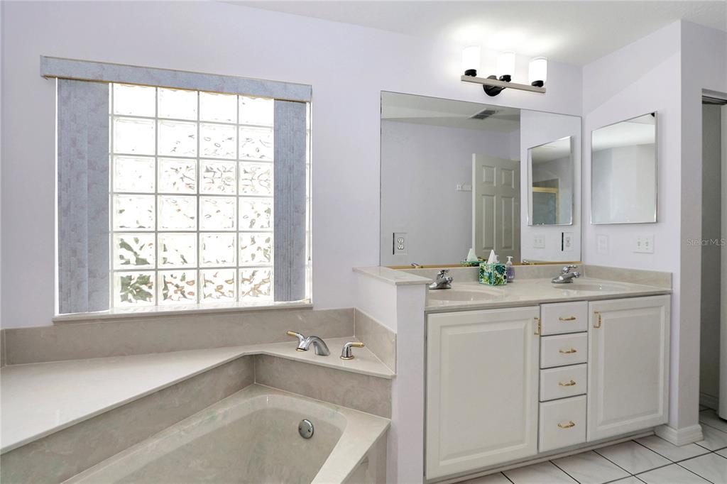 6318 Southwest 117th Loop Ocala, FL 34476 - Photo 15 of 60 a bathroom with a tub a sink and mirror