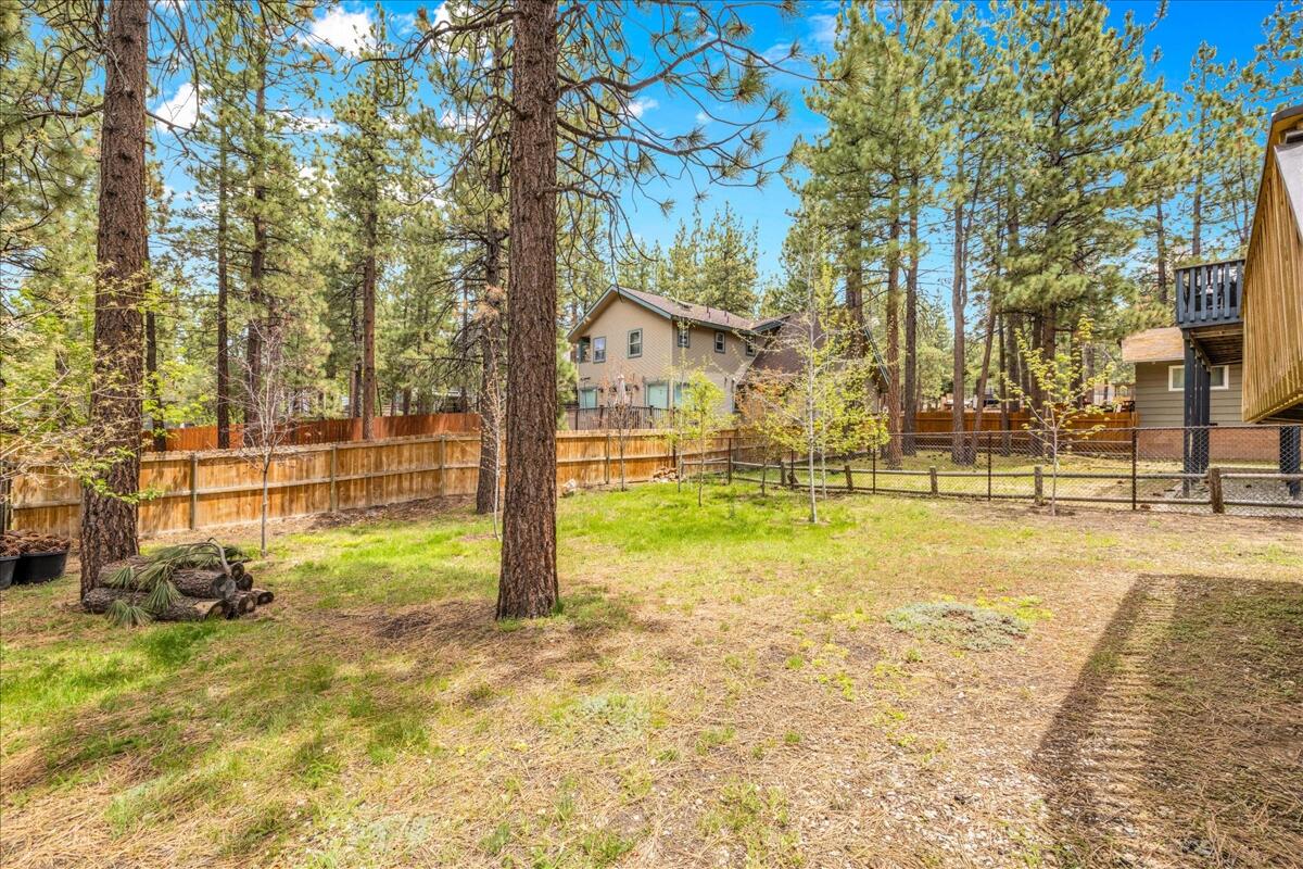 39656 Forest Road Big Bear Lake, CA 92315 - Photo 27 of 40 a view of yard with tree