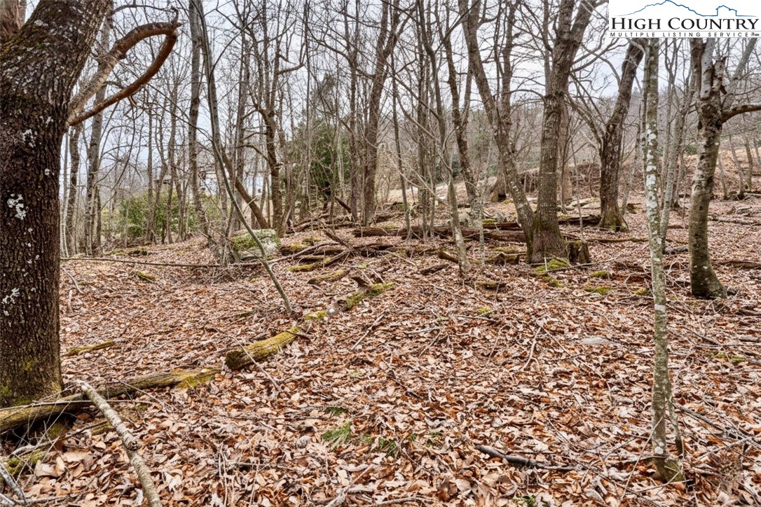 Lot 33 Wapiti Way Boone, NC 28607 - Photo 11 of 15