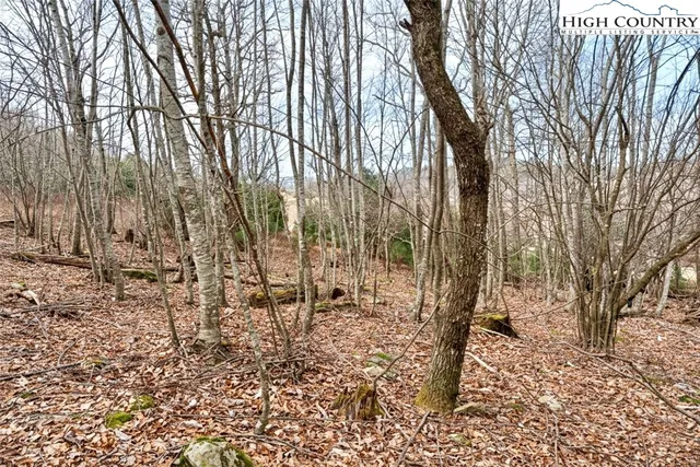 $74,000 | Lot 33 Wapiti Way, Boone, NC 28607