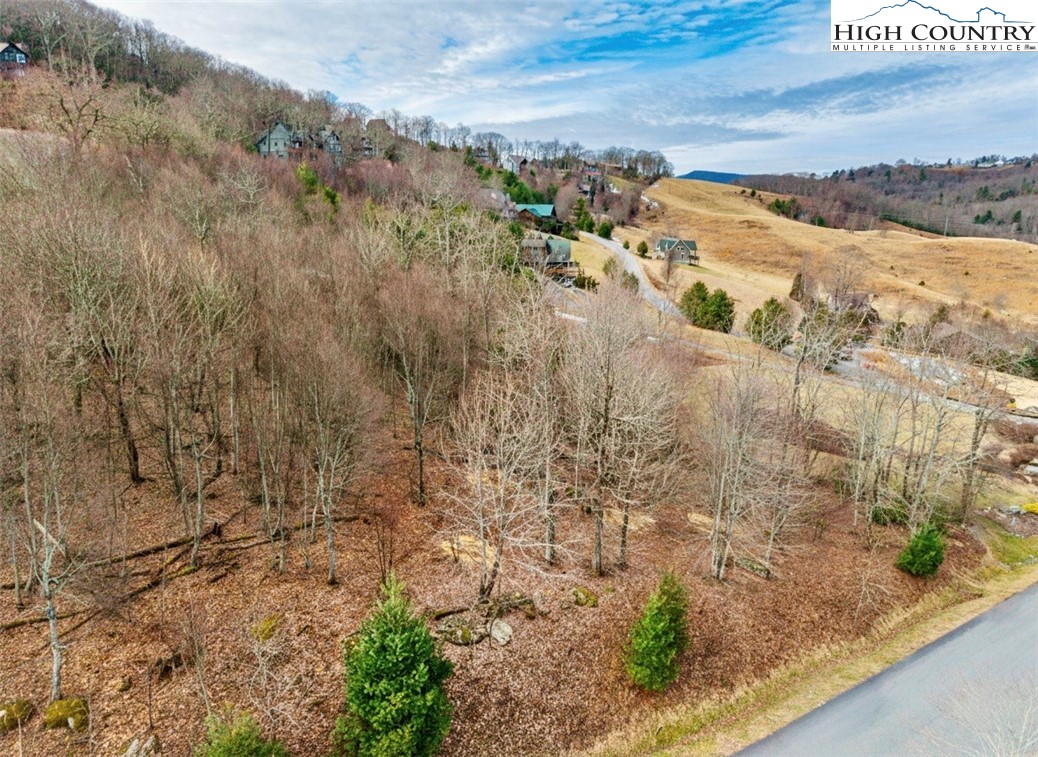 Lot 33 Wapiti Way Boone, NC 28607 - Photo 2 of 15