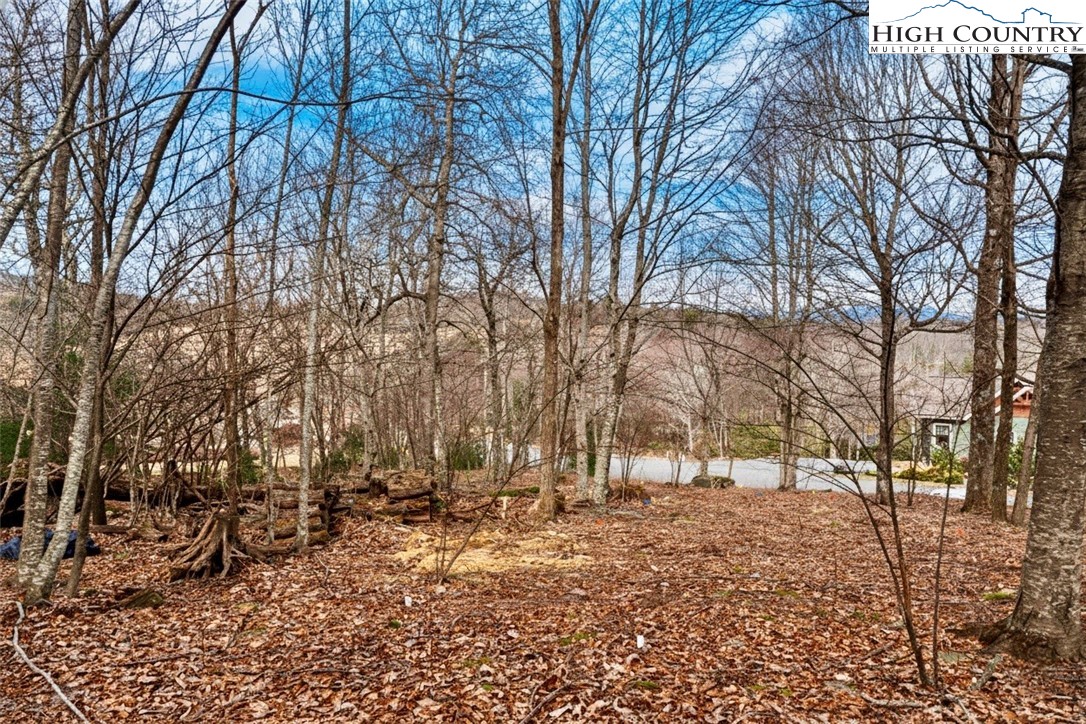 Lot 33 Wapiti Way Boone, NC 28607 - Photo 6 of 15