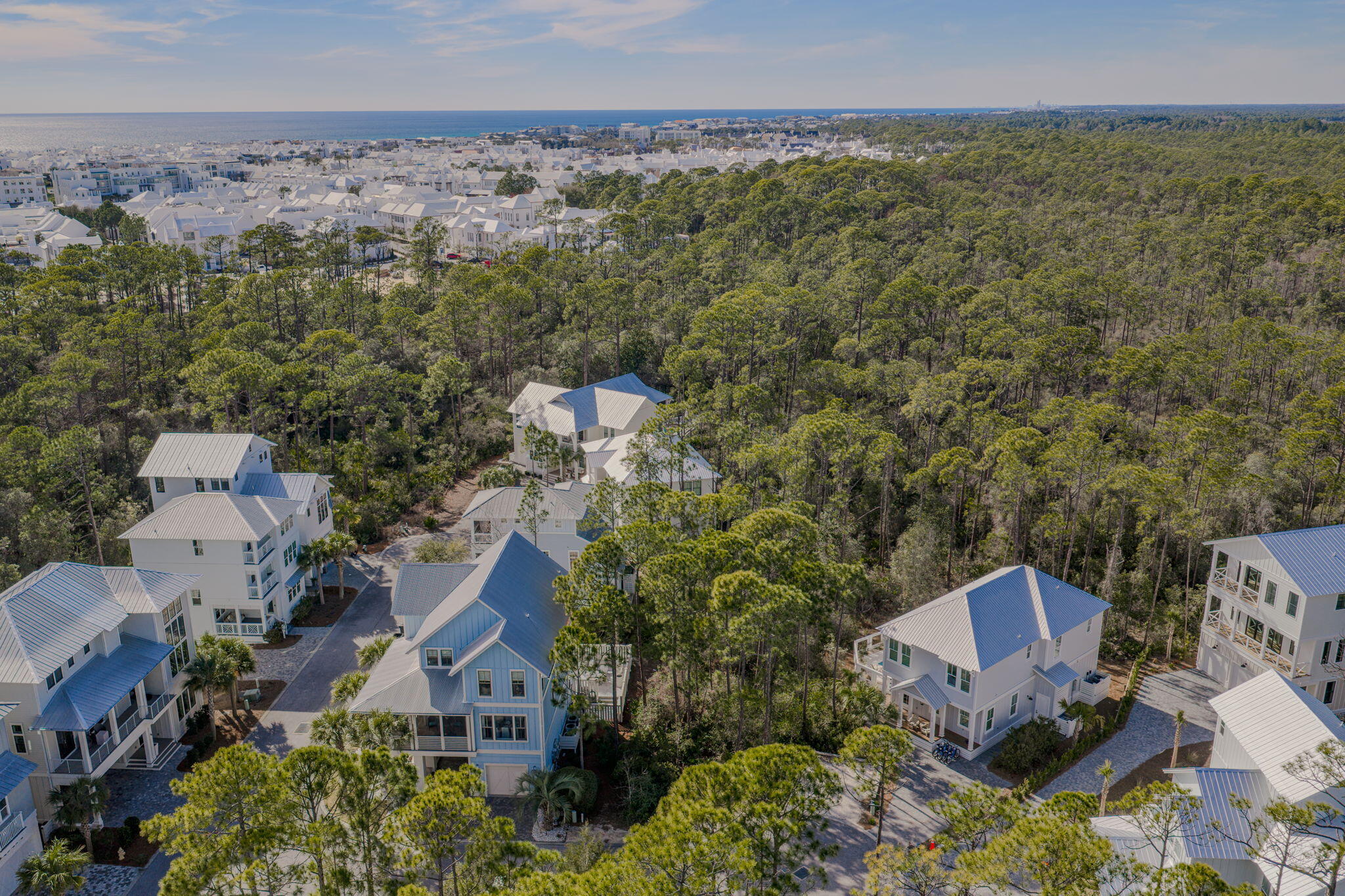 Lot 42 Treetop Inlet Beach Inlet Beach, FL 32461 - Photo 5 of 15 4-web-or-mls-DJI_20260224143614_0781_D