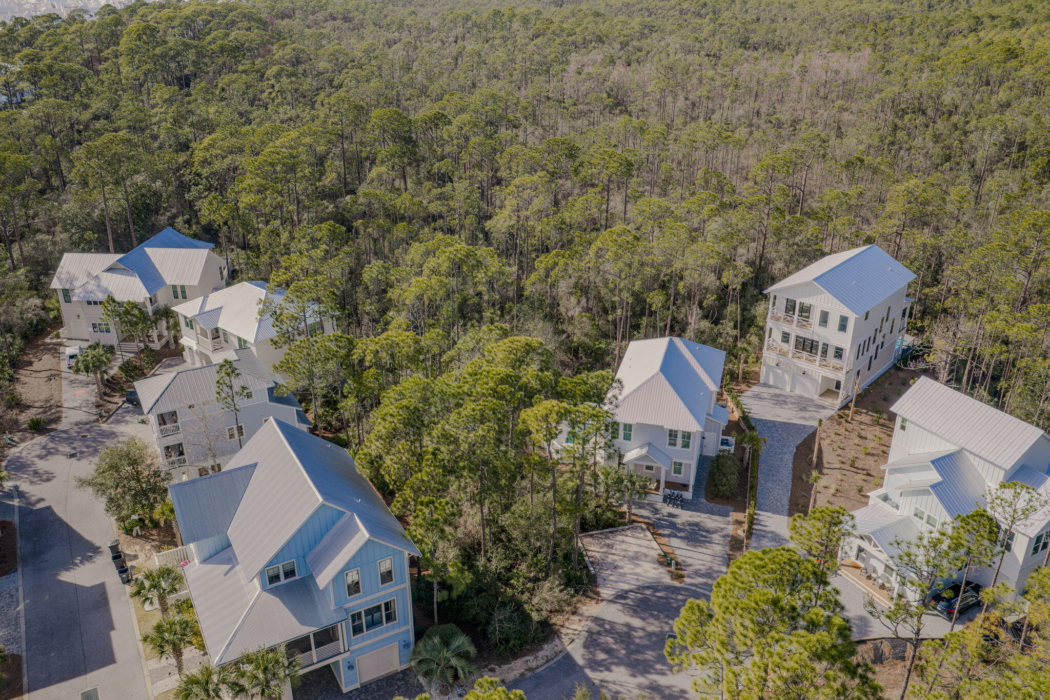 Lot 42 Treetop Inlet Beach Inlet Beach, FL 32461 - Photo 6 of 15 2-web-or-mls-DJI_20260224143600_0779_D