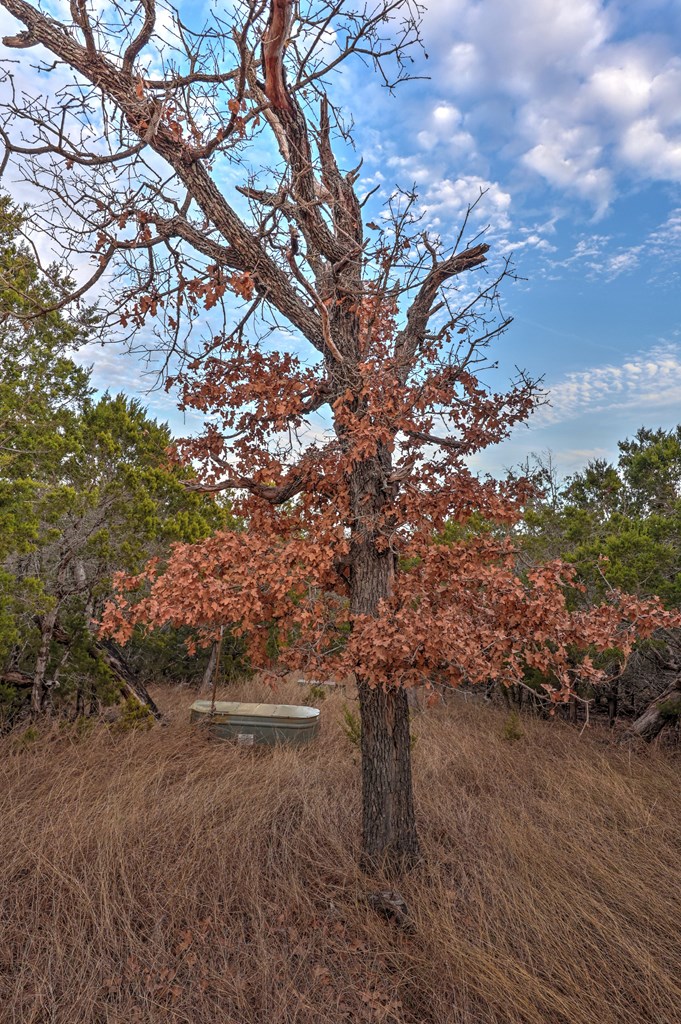 438-1 Yellowstone Lane Hunt, TX 78024 - Photo 22 of 44 a view of a dry yard
