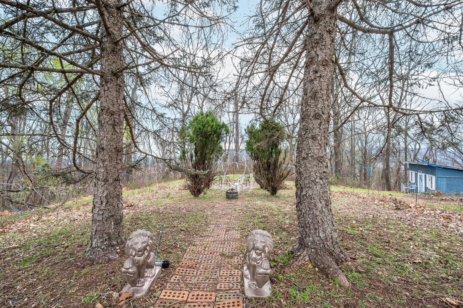 4400 Murray Hollow Road Thaxton, VA 24174 - Photo 51 of 56 a view of a yard with plants and trees