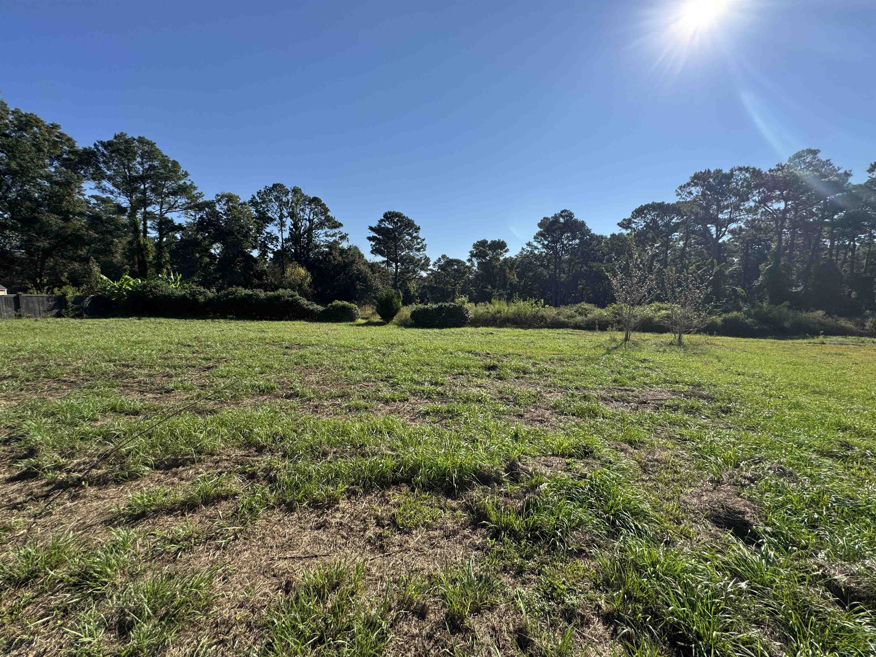31076 Blakeley Way Daphne, AL 36527 - Photo 19 of 21 Yard