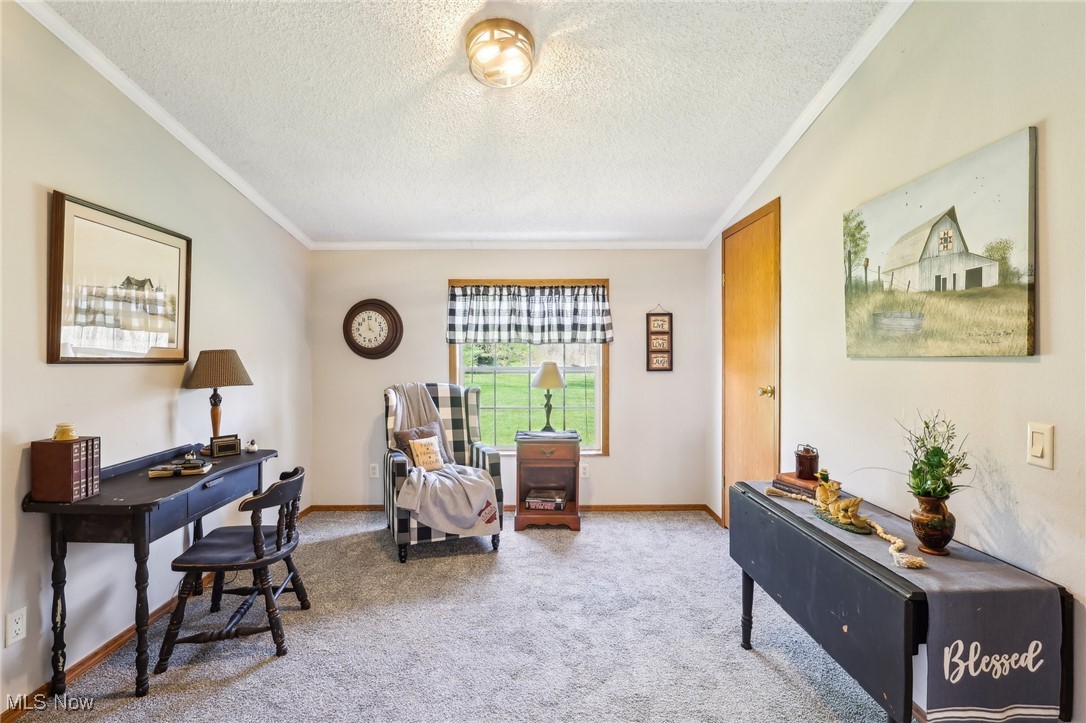 8307 Slagle Road Windham, OH 44288 - Photo 11 of 39 Sitting room featuring baseboards, ornamental molding, a textured ceiling, and carpet