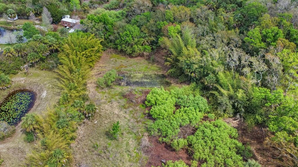 3106 Timberlee Road Wimauma, FL 33598 - Photo 3 of 50