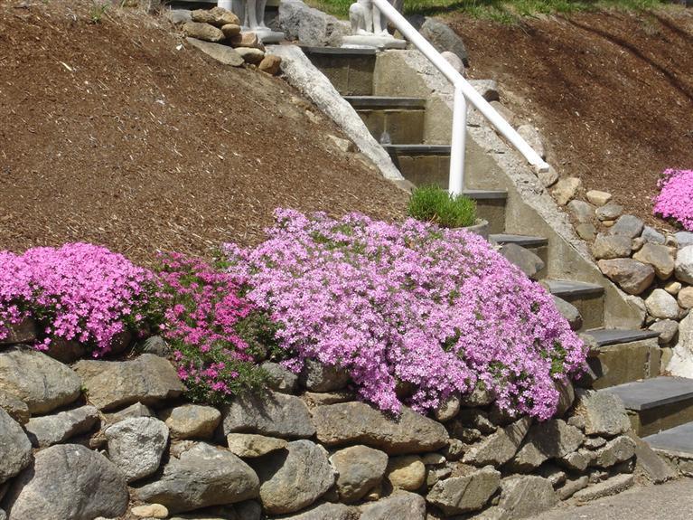 20 Kidd's Hill Road Barnstable, MA 02630 - Photo 15 of 15 Additional Photo