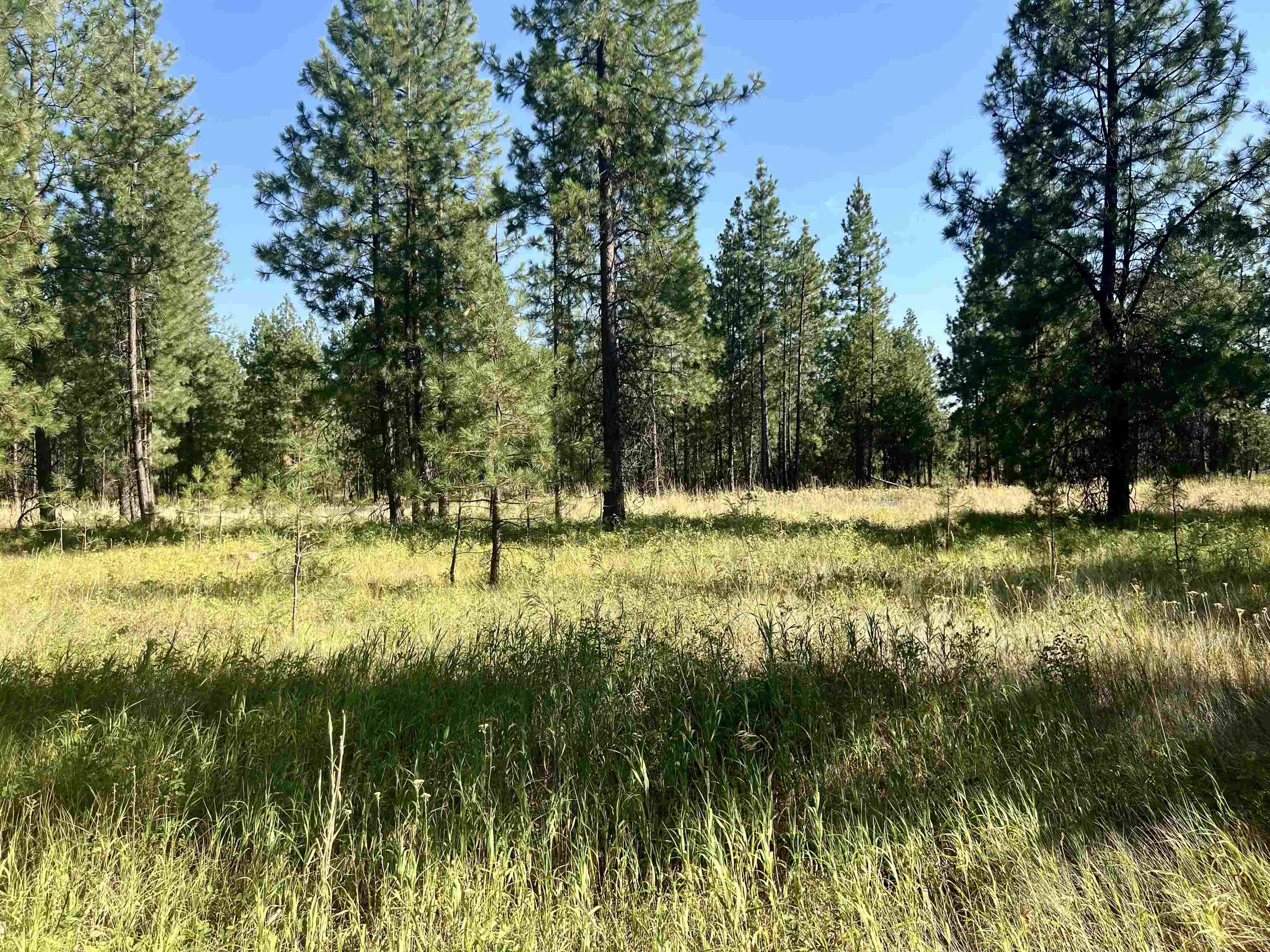 Nka West Findley Road, Unit LOT 5 Deer Park, WA 99006 - Photo 26 of 28