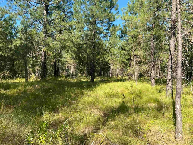 $182,000 | Nka West Findley Road, Unit LOT 5, Deer Park, WA 99006